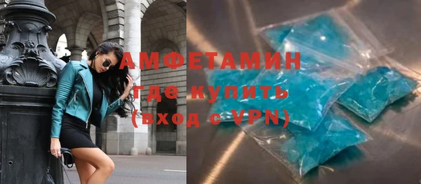 шишки Бородино