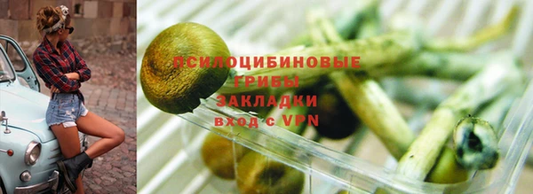 шишки Бородино