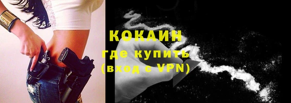 шишки Бугульма