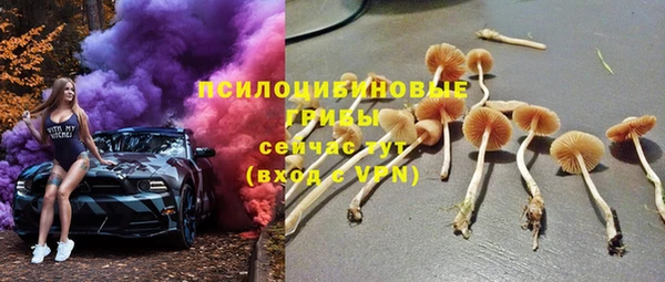 шишки Бородино