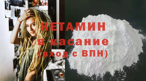 шишки Бородино