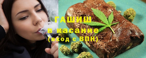 шишки Бородино