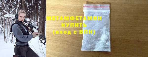 шишки Бородино