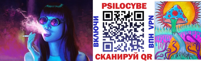Купить где  Тулун  Галлюциногенные грибы Psilocybe 