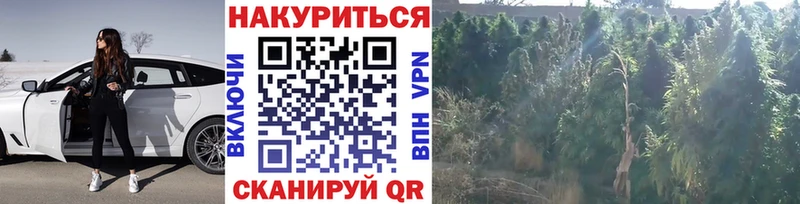 Шишки марихуана AK-47  Купить где  Тулун 